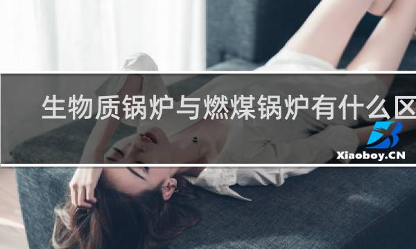 生物质锅炉与燃煤锅炉有什么区别
