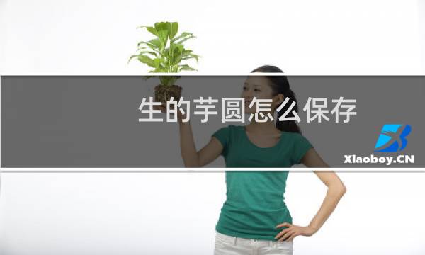 生的芋圆怎么保存（生的芋圆怎么保存方法）