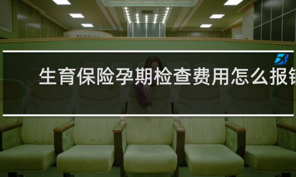 生育保险孕期检查费用怎么报销图片