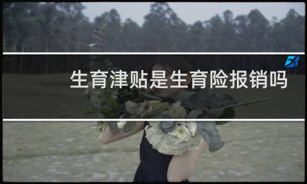 生育津贴是生育险报销吗