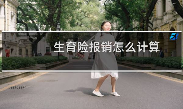 生育险报销怎么计算