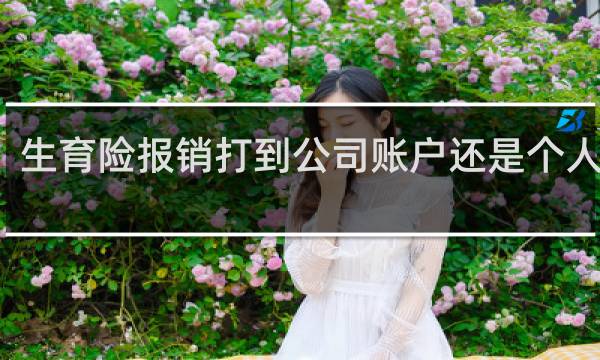 生育险报销打到公司账户还是个人账户图片