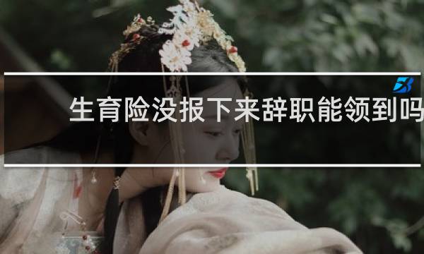 生育险没报下来辞职能领到吗图片