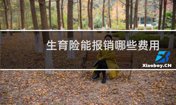 生育险能报销哪些费用