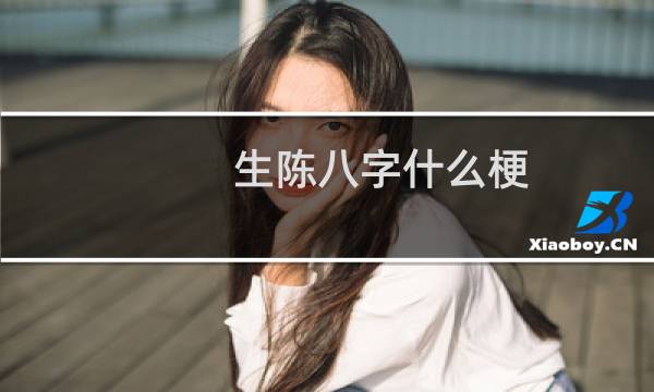 生陈八字什么梗