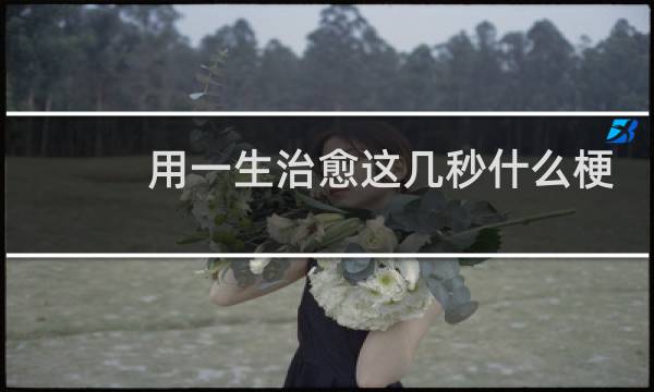 用一生治愈这几秒什么梗