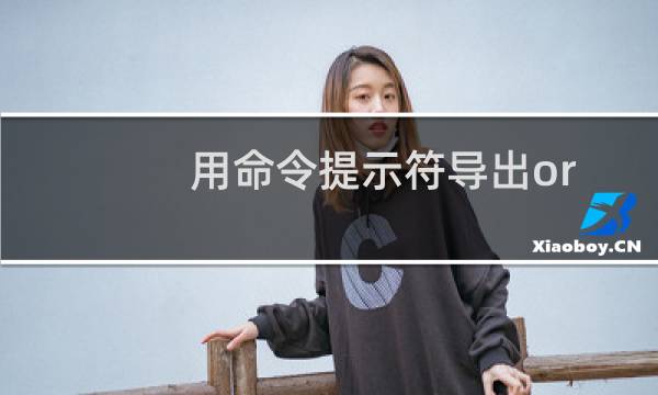 用命令提示符导出oracle数据库