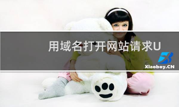 用域名打开网站请求URL错误 idnex.php