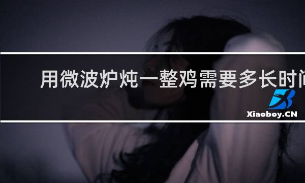 用微波炉炖一整鸡需要多长时间