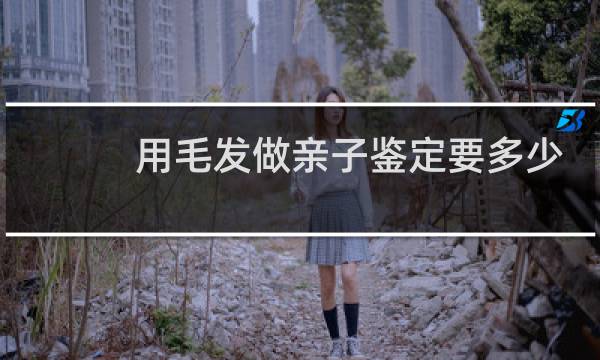 用毛发做亲子鉴定要多少钱
