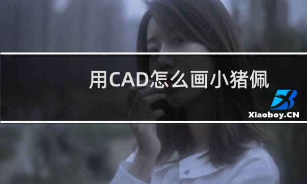 用CAD怎么画小猪佩奇