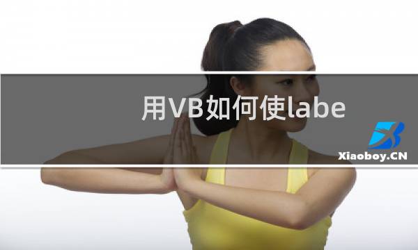 用VB如何使label自动左右移动？