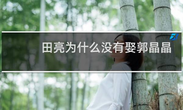 田亮为什么没有娶郭晶晶