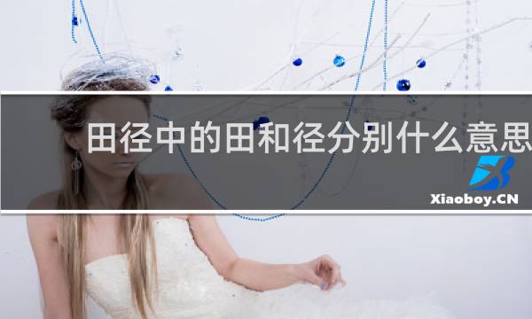 田径中的田和径分别什么意思