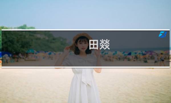 田燚