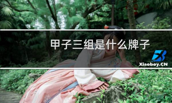 甲子三组是什么牌子