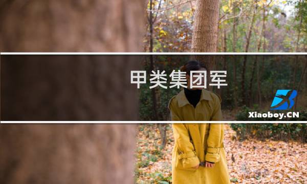 甲类集团军图片