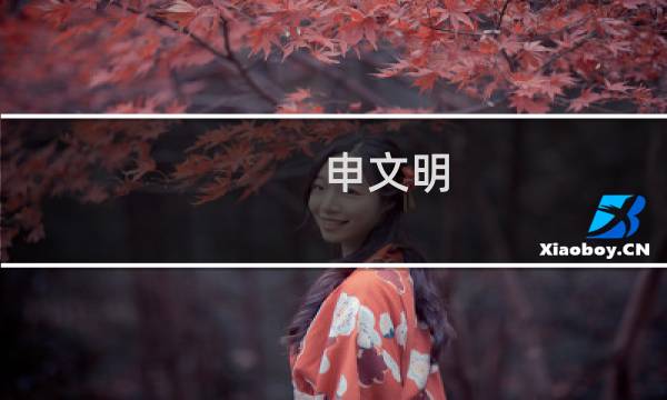 申文明(申卫、申园林、申文明城市如火如荼?)