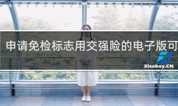 申请免检标志用交强险的电子版可以吗