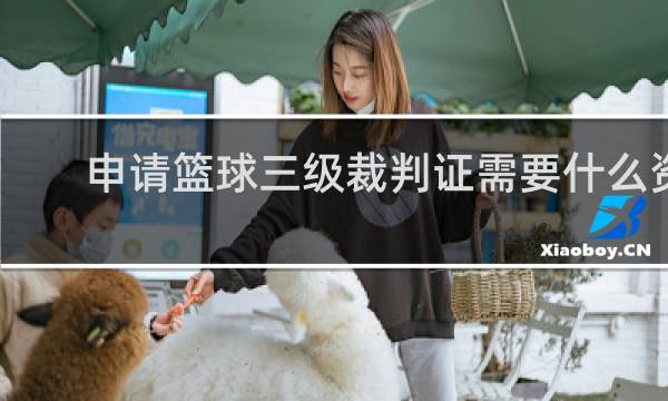 申请篮球三级裁判证需要什么资料