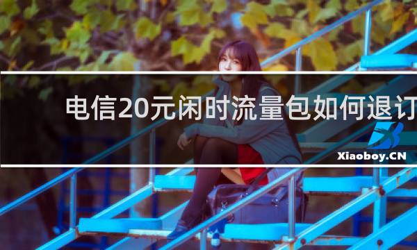 电信20元闲时流量包如何退订