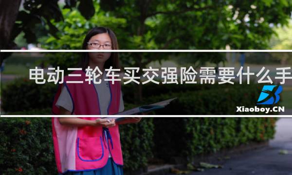 电动三轮车买交强险需要什么手续