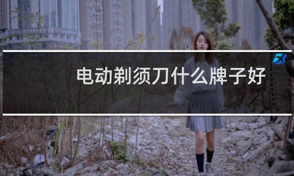 电动剃须刀什么牌子好图片