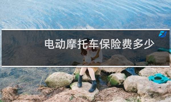 电动摩托车保险费多少