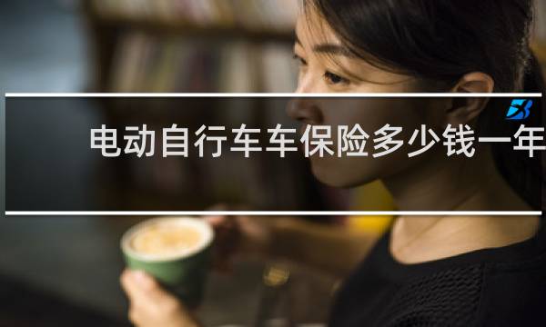 电动自行车车保险多少钱一年