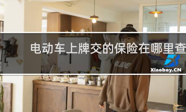 电动车上牌交的保险在哪里查