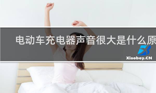 电动车充电器声音很大是什么原因
