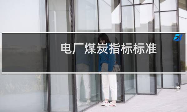 电厂煤炭指标标准图片