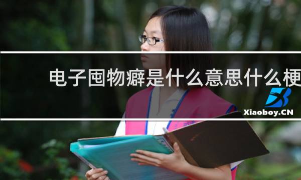 电子囤物癖是什么意思什么梗
