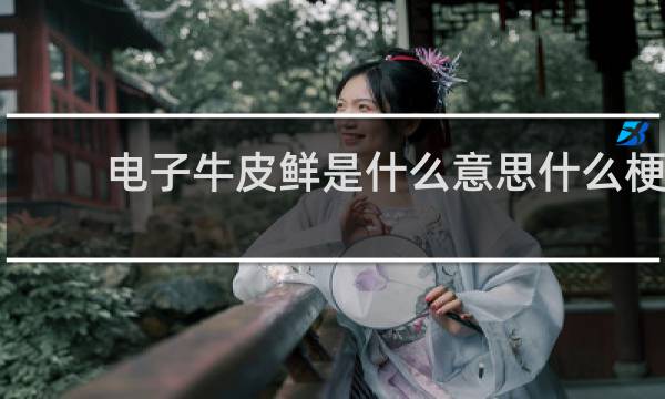 电子牛皮鲜是什么意思什么梗