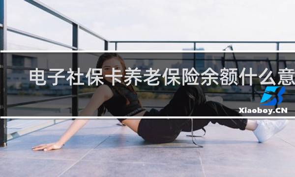 电子社保卡养老保险余额什么意思