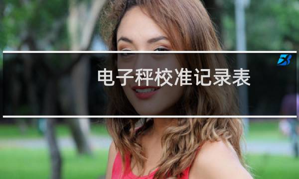 电子秤校准记录表（电子秤校准）图片
