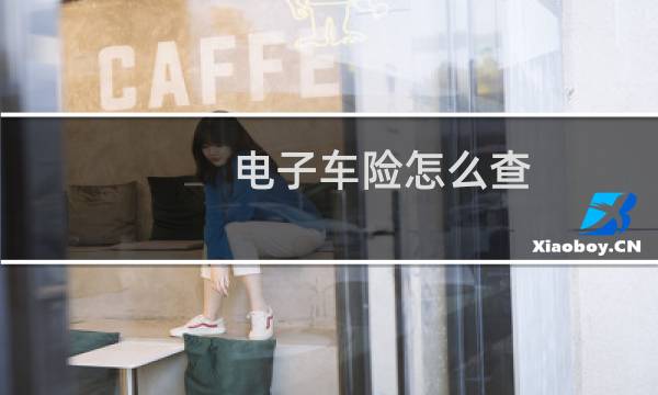 电子车险怎么查