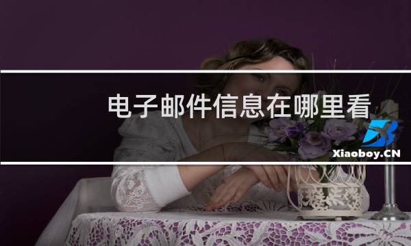 电子邮件信息在哪里看