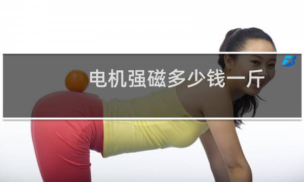 电机强磁多少钱一斤