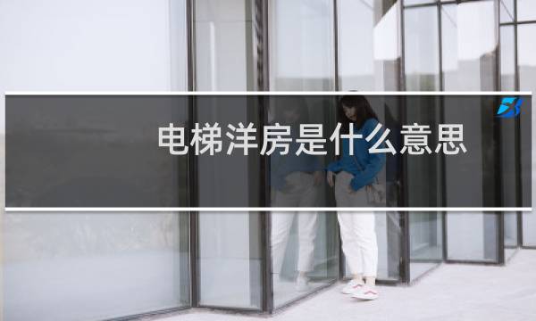 电梯洋房是什么意思
