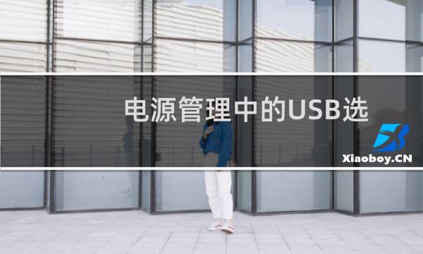 电源管理中的USB选择性暂停设置