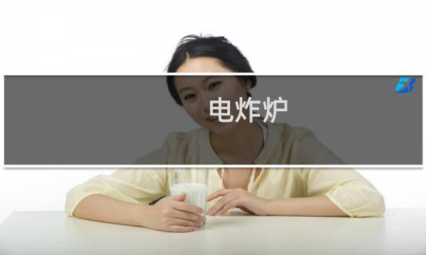 电炸炉