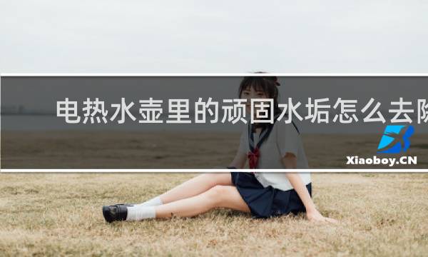 电热水壶里的顽固水垢怎么去除