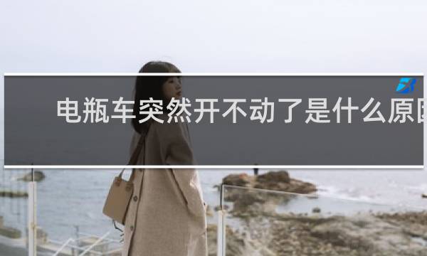电瓶车突然开不动了是什么原因