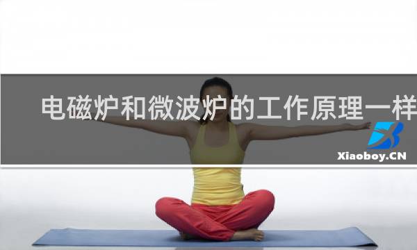电磁炉和微波炉的工作原理一样吗