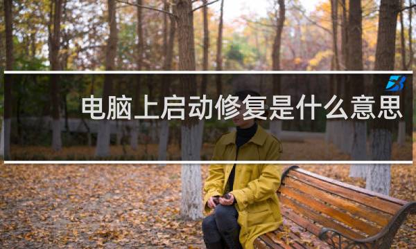 电脑上启动修复是什么意思