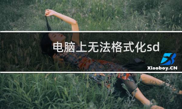 电脑上无法格式化sd卡怎么解决（sd卡无法完成格式化解决办法）图片