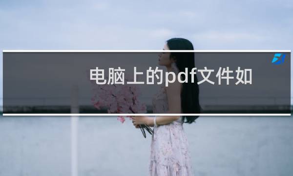 电脑上的pdf文件如何转换为图片