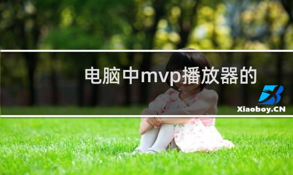 电脑中mvp播放器的画面如何设置向右移动