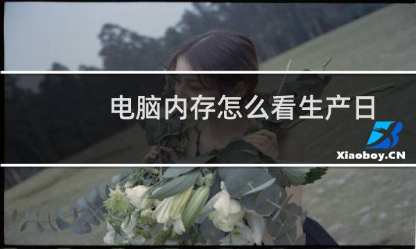 电脑内存怎么看生产日期（电脑内存怎么看）图片